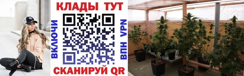 Купить наркотики Гусев Экстази мега маркетплейс Альфа ПВП Меф мяу мяу ГАШИШ Канабис