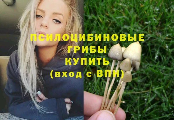 ГАЛЛЮЦИНОГЕННЫЕ ГРИБЫ Волосово