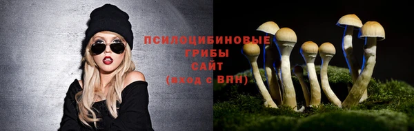 СК Горняк
