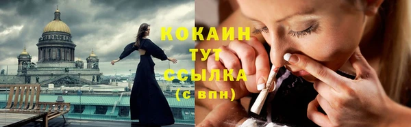 СК Горняк