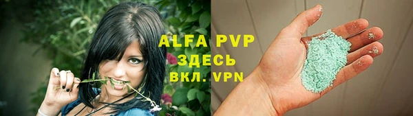 гидра Вязьма