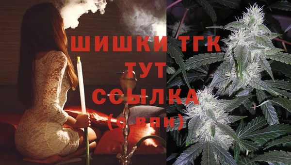 гидра Вязьма