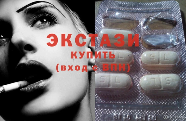 гидра Вязьма