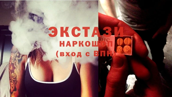 гидра Вязьма