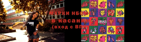 гидра Вязьма