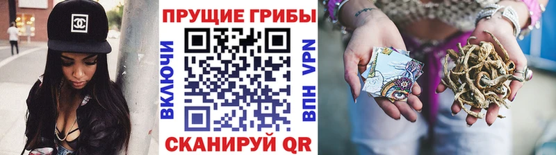 Псилоцибиновые грибы ЛСД Гусев